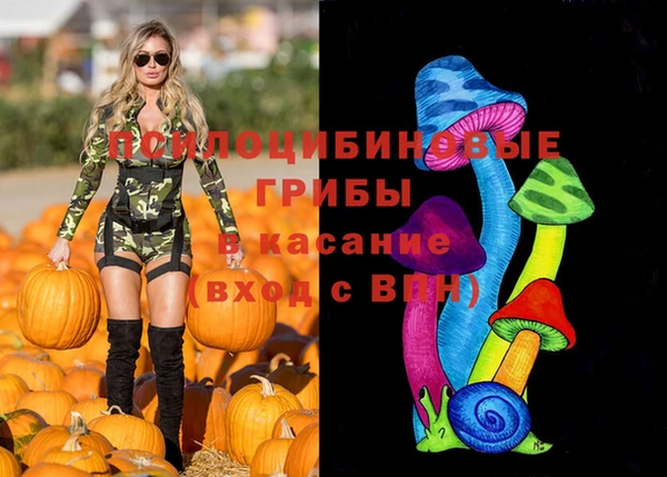 бошки Волоколамск