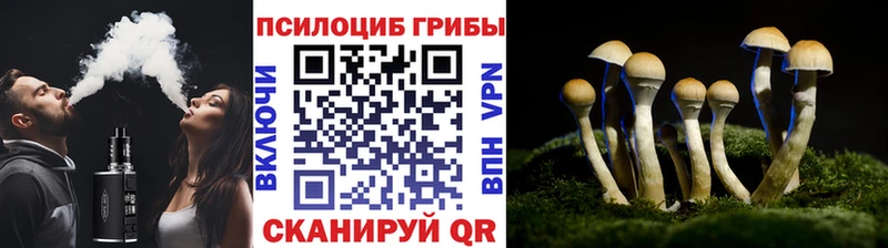 Псилоцибиновые грибы Psilocybine cubensis  дарк нет наркотические препараты  Рузаевка 