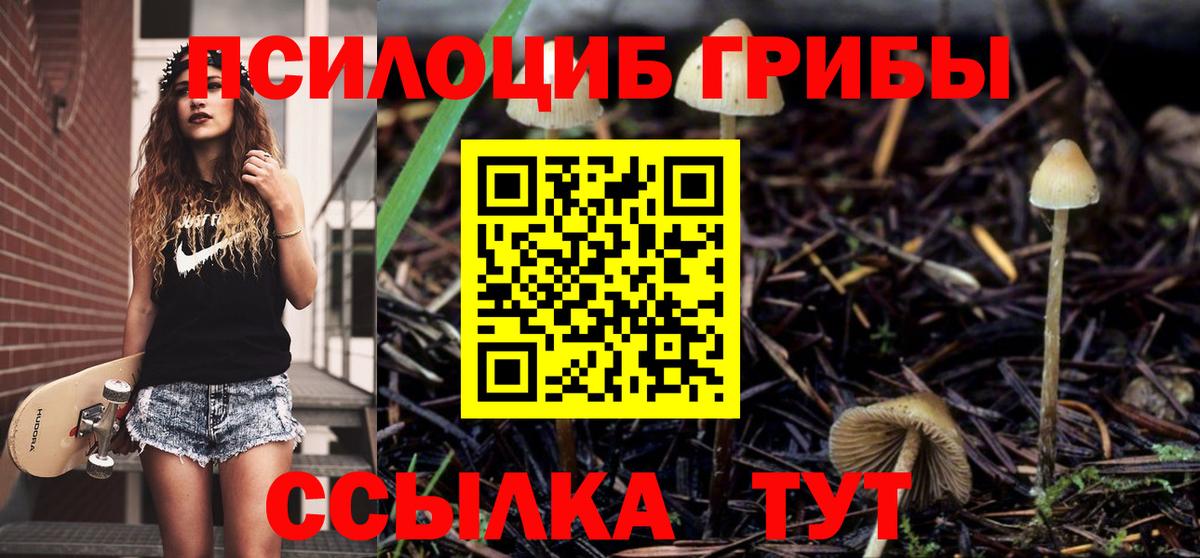 Псилоцибиновые грибы Cubensis  Галлюциногенные грибы мицелий  сколько стоит  Рузаевка  Вход с VPN 